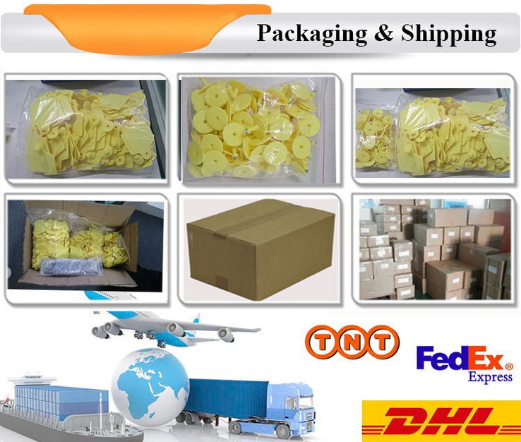 product-750-636 product-750-636